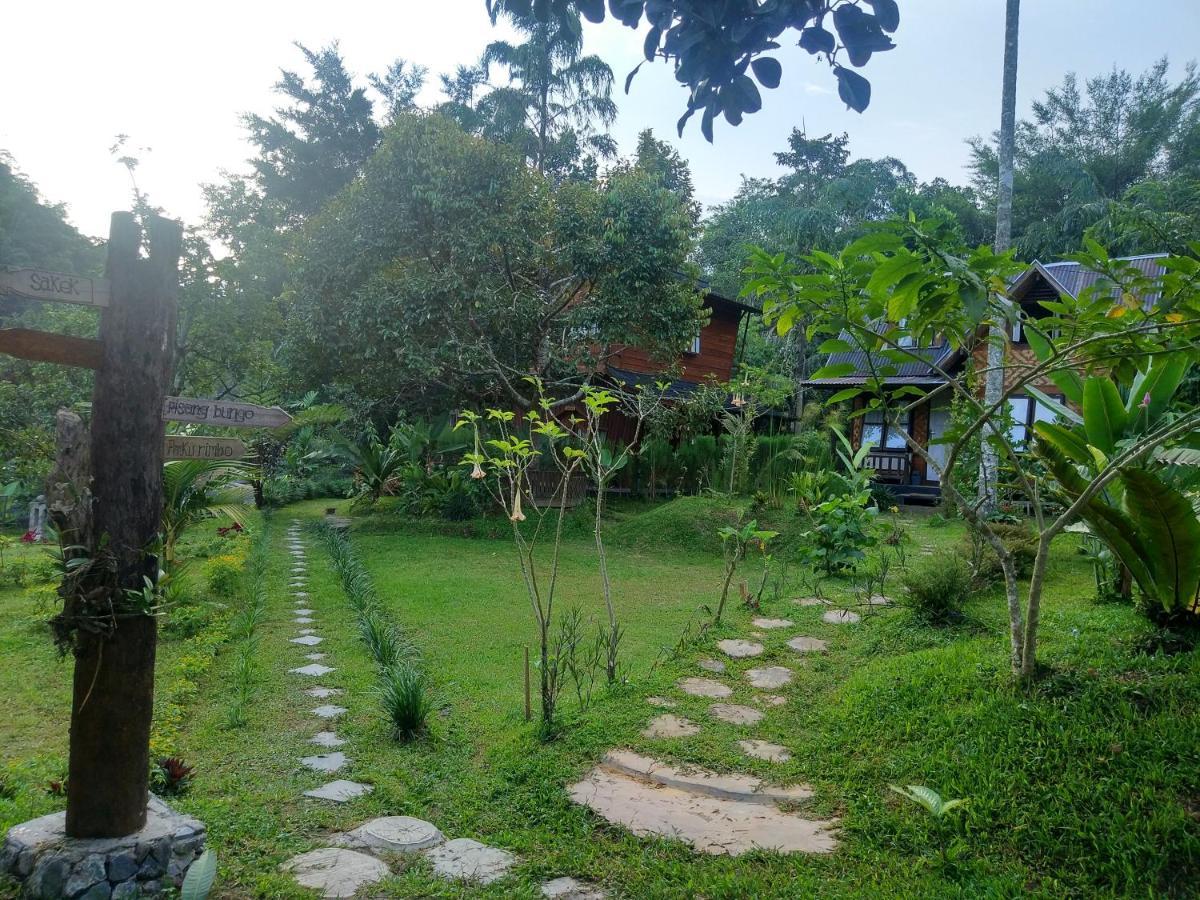 Canyon Jungle Stay Bukittinggi Extérieur photo