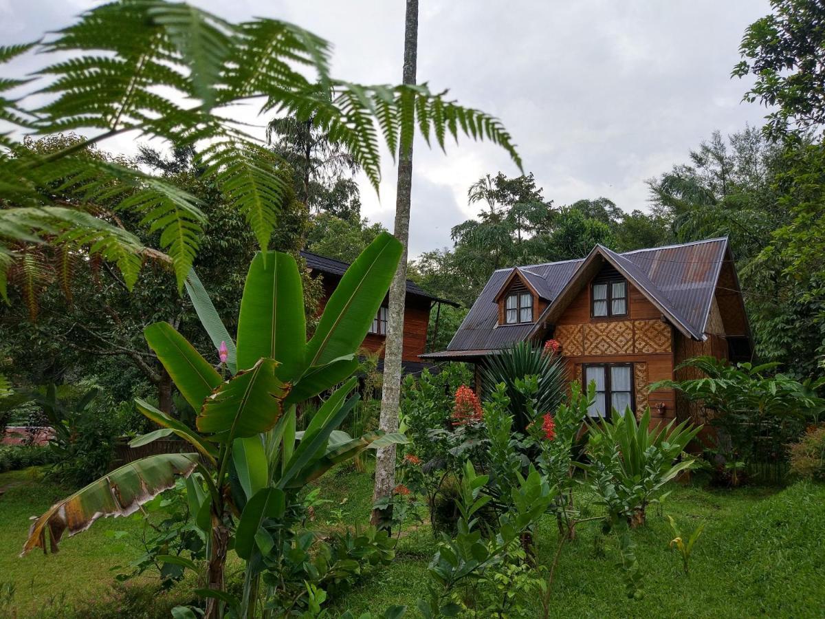 Canyon Jungle Stay Bukittinggi Extérieur photo