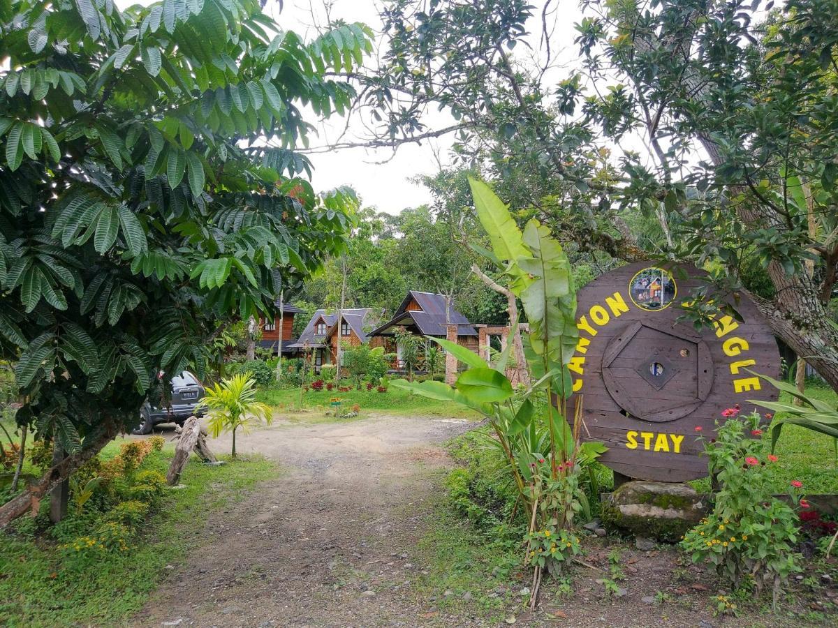 Canyon Jungle Stay Bukittinggi Extérieur photo