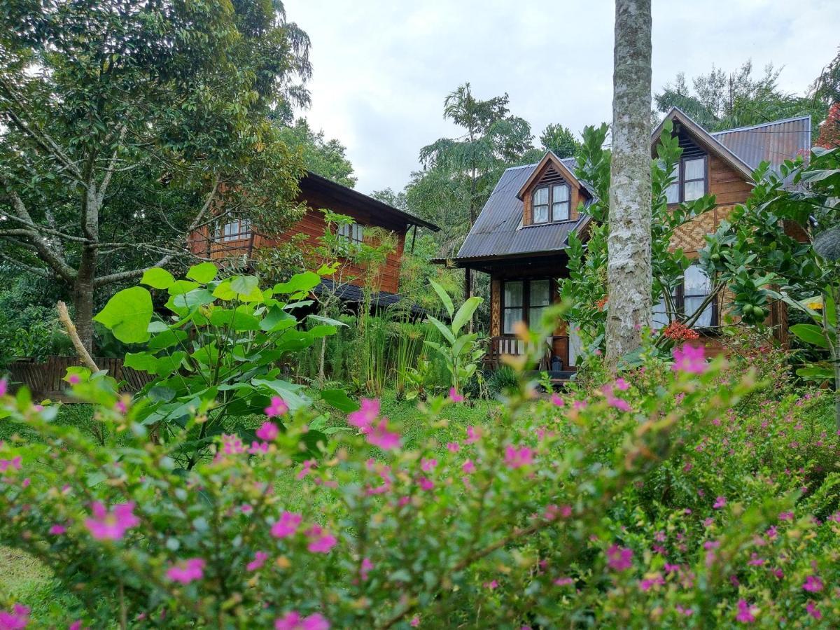 Canyon Jungle Stay Bukittinggi Extérieur photo
