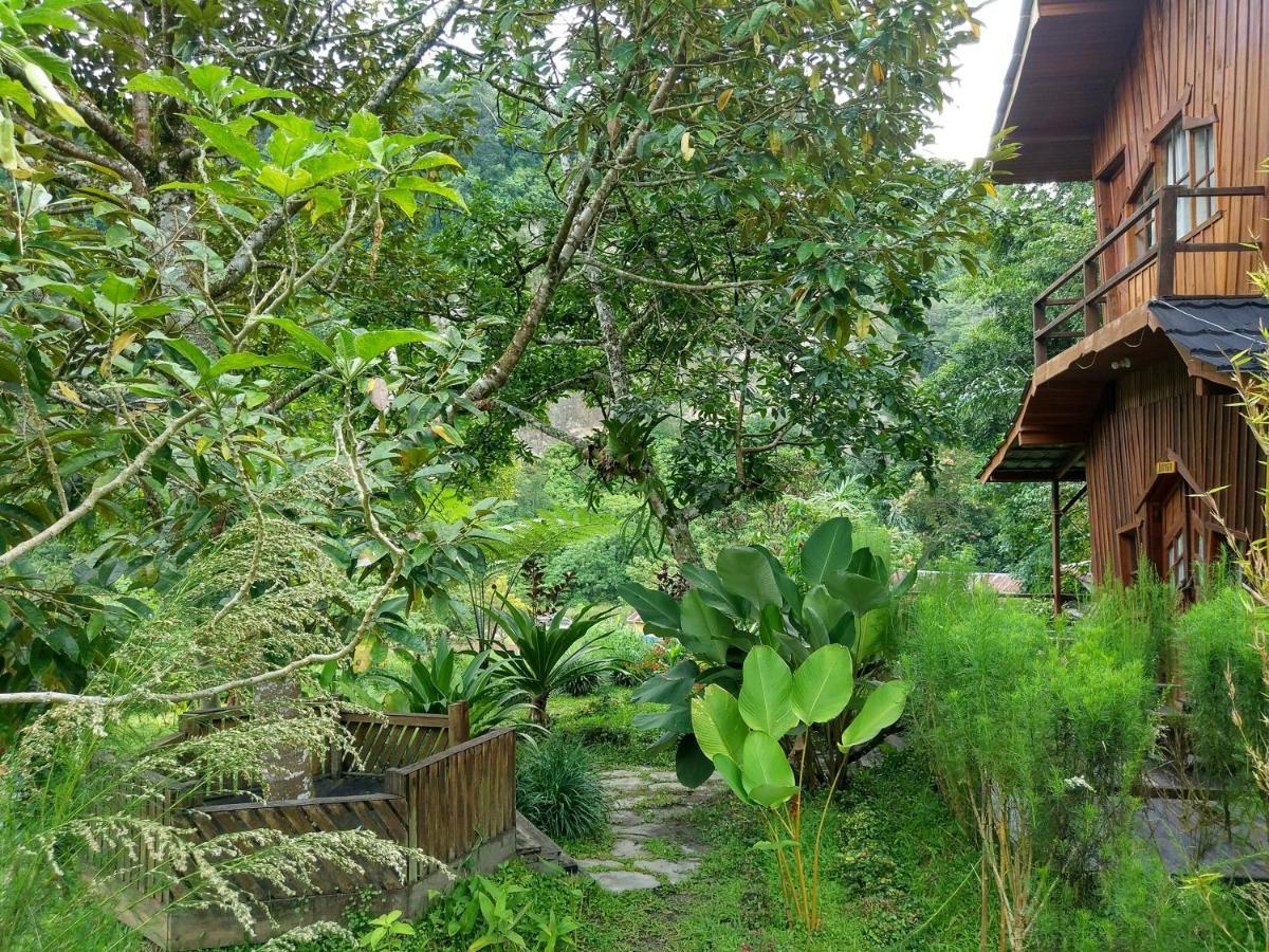Canyon Jungle Stay Bukittinggi Extérieur photo