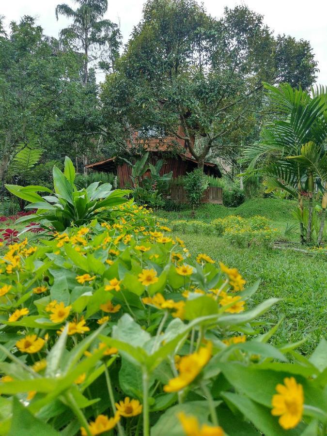 Canyon Jungle Stay Bukittinggi Extérieur photo