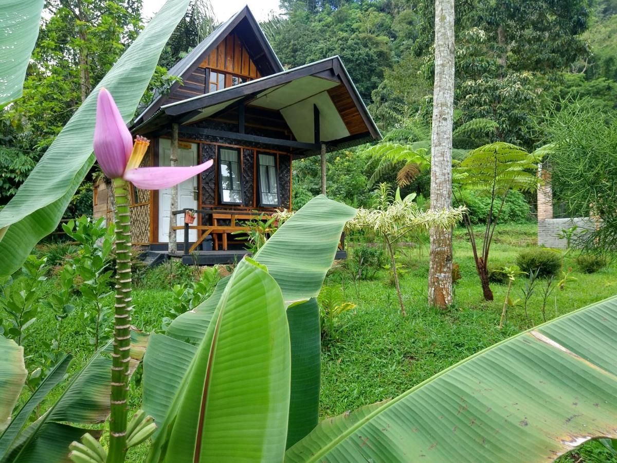 Canyon Jungle Stay Bukittinggi Extérieur photo