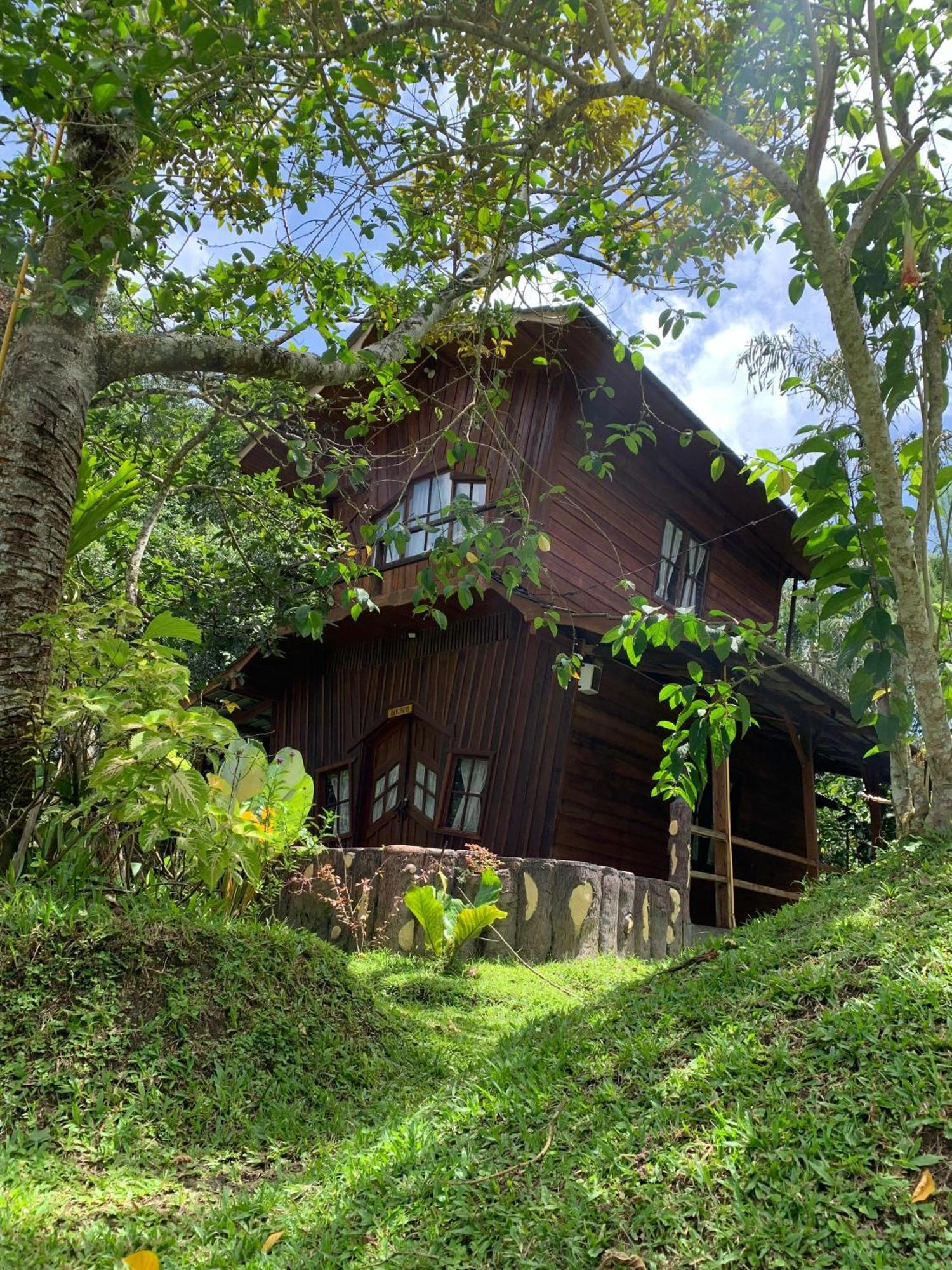 Canyon Jungle Stay Bukittinggi Extérieur photo