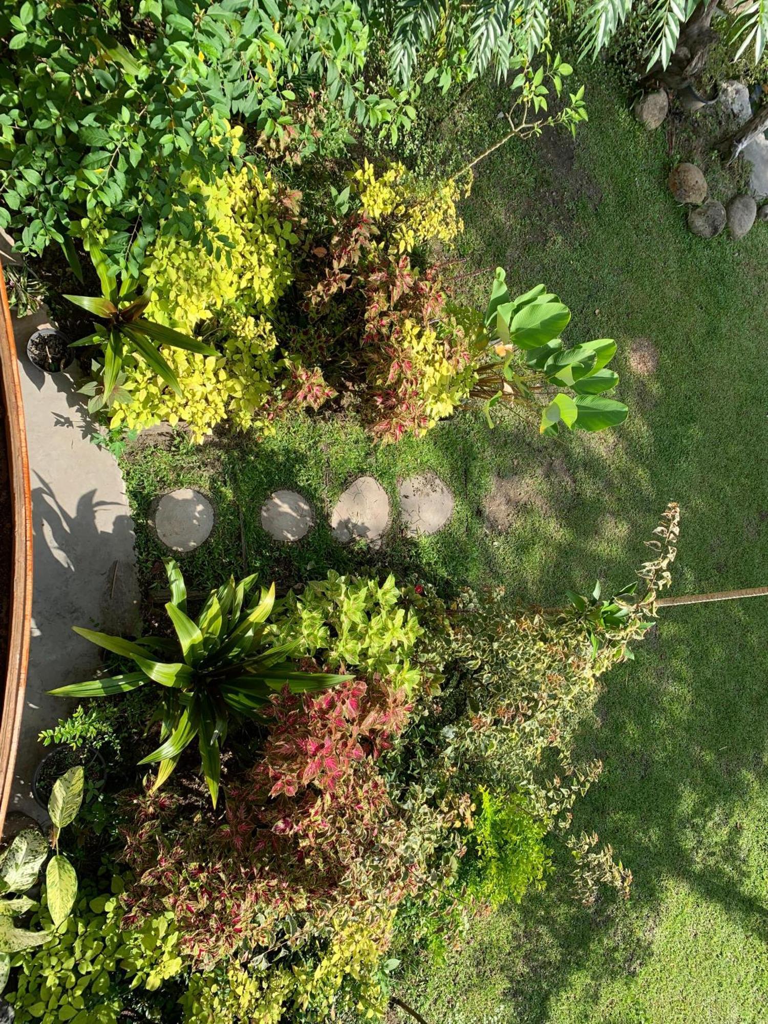 Canyon Jungle Stay Bukittinggi Extérieur photo